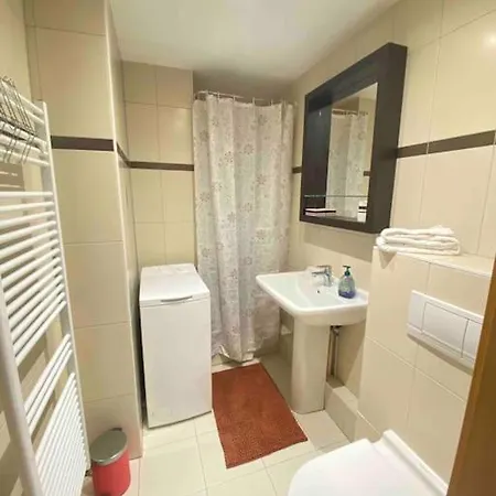 Appartement Le Petit Colmarien à 1mn Du Centre *