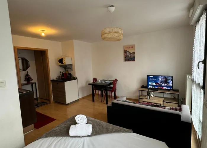 Le Petit Colmarien à 1mn Du Centre Apartamento Colmar