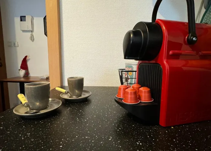 Apartamento Le Petit Colmarien à 1mn Du Centre *